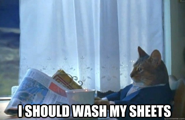 i should wash my sheets - Sophisticated Cat
