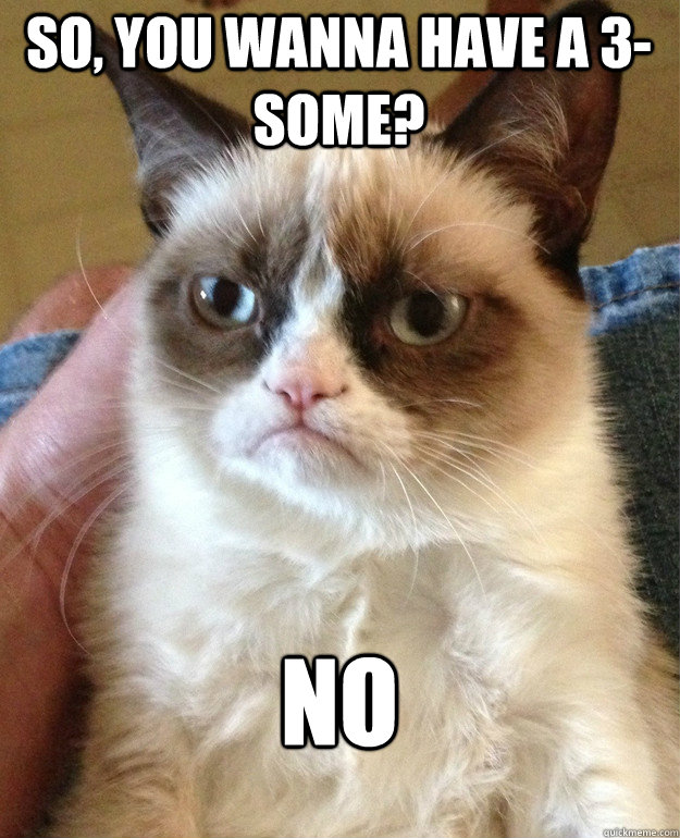 so you wanna have a 3some no - Grumpy Cat