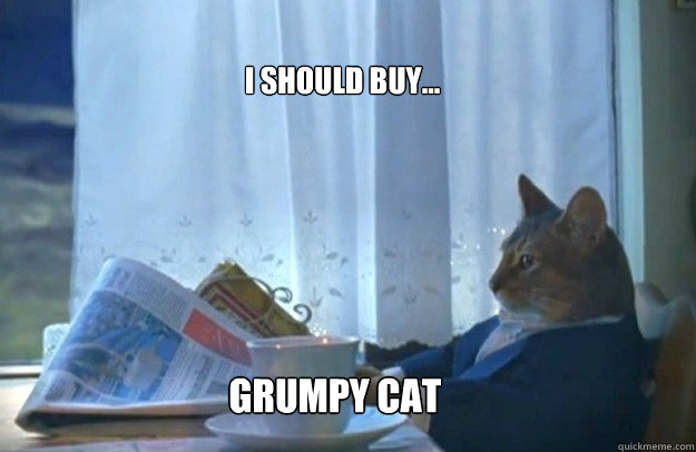 i should buy grumpy cat - Sophisticated Cat