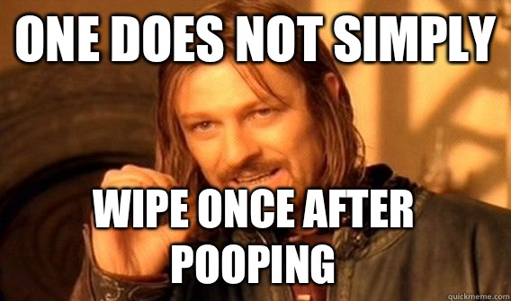 ONE DOES NOT SIMPLY WIPE ONCE AFTER POOPING - One Does Not Simply