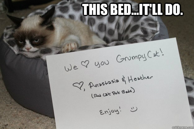 this beditll do -