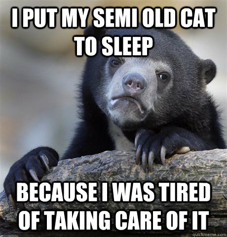 i put my semi old cat to sleep because i was tired of taking - Confession Bear