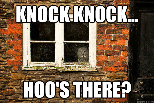 knock knock hoos there -