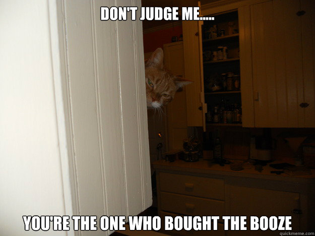 dont judge me youre the one who bought the booze - Mollys bender