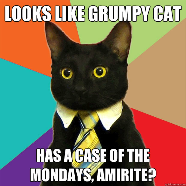 looks like grumpy cat has a case of the mondays amirite - Business Cat