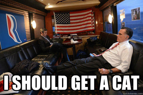 i should get a cat - Sudden Realization Romney