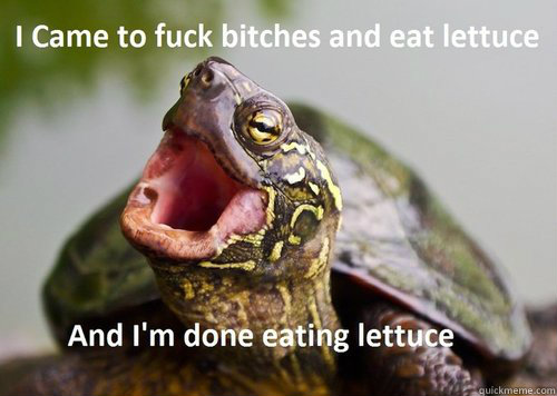 60 - Jive Ass Turtle