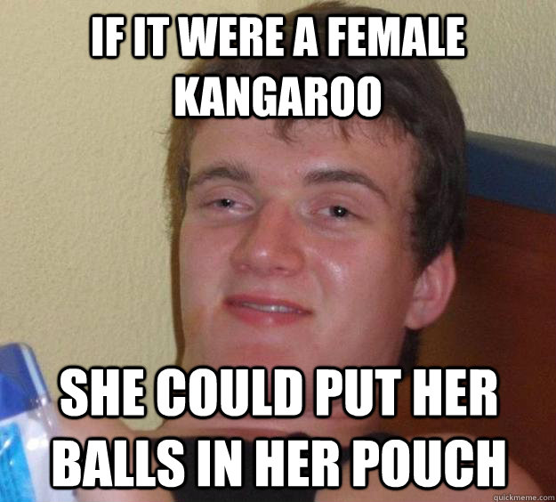 if it were a female kangaroo she could put her balls in her - 10 Guy