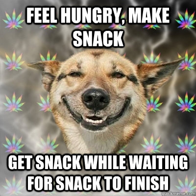 feel hungry make snack get snack while waiting for snack to - Stoner Dog