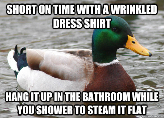 short on time with a wrinkled dress shirt hang it up in the - Actual Advice Mallard