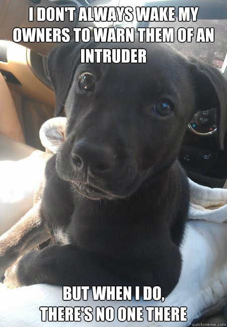 i dont always wake my owners to warn them of an intruder bu - The Most Interesting Dog In The World