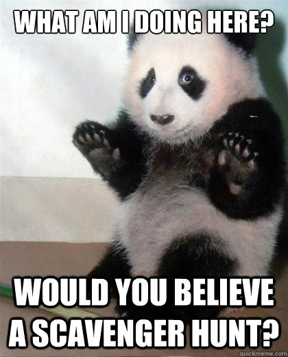 what am i doing here would you believe a scavenger hunt - Guilty Panda