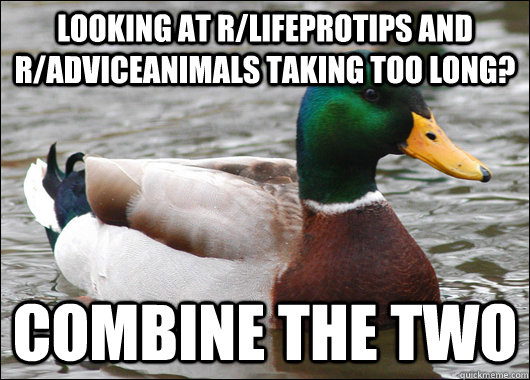 looking at rlifeprotips and radviceanimals taking too long - Actual Advice Mallard