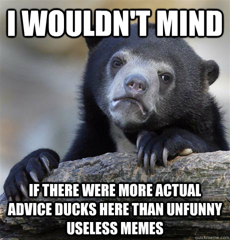 i wouldnt mind if there were more actual advice ducks here - Confession Bear