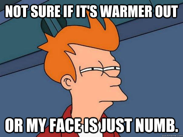not sure if its warmer out or my face is just numb - Futurama Fry