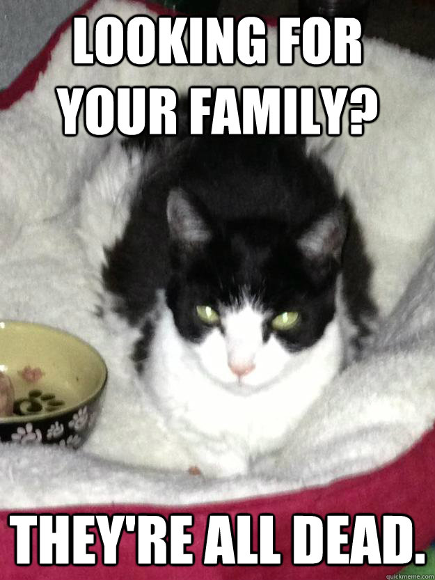 looking for your family theyre all dead -
