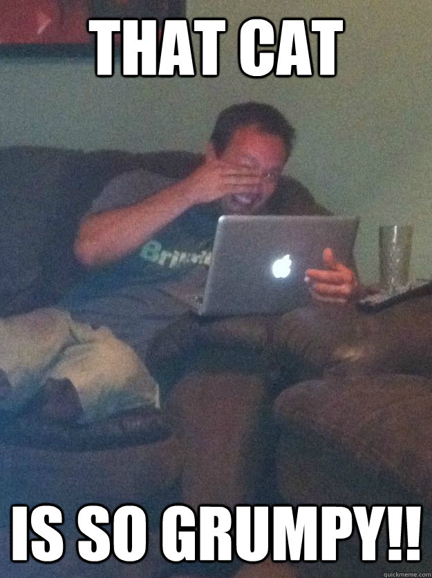 that cat is so grumpy - Reddit Meme Dad