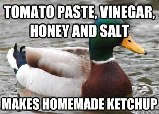 tomato paste vinegar honey and salt makes homemade ketchup - Actual Advice Mallard