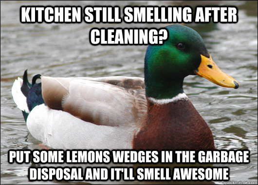 kitchen still smelling after cleaning put some lemons wedge - Actual Advice Mallard
