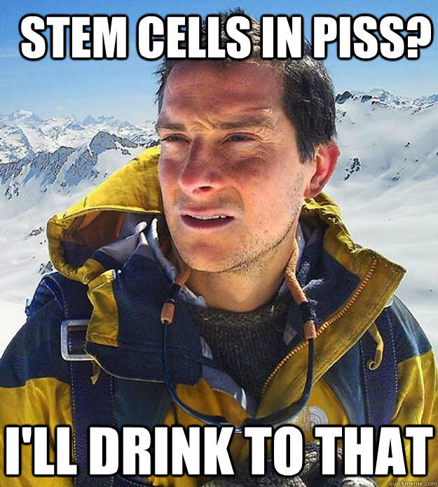 stem cells in piss ill drink to that - Best size bear grylls meme