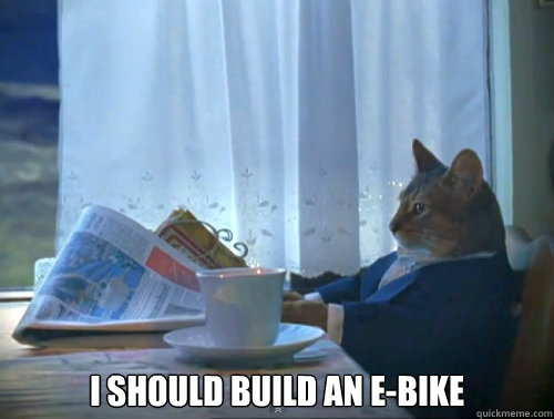 i should build an ebike - The One Percent Cat