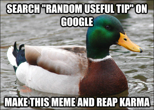 search random useful tip on google make this meme and reap - Actual Advice Mallard