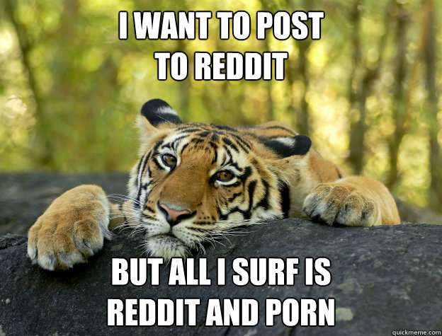 i want to post to reddit but all i surf is reddit and porn - confession tiger
