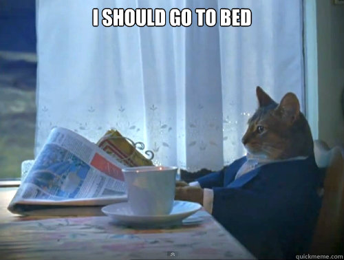 i should go to bed - The One Percent Cat