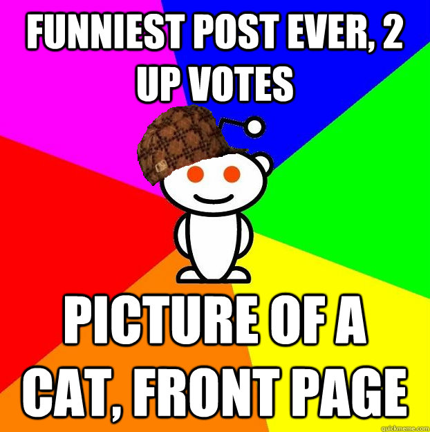 funniest post ever 2 up votes picture of a cat front page - Scumbag Redditor