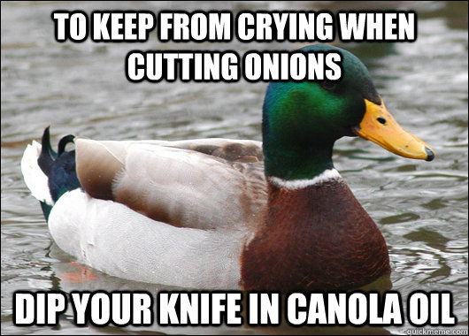 to keep from crying when cutting onions dip your knife in ca - Actual Advice Mallard