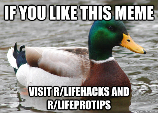 if you like this meme visit rlifehacks and rlifeprotips - Actual Advice Mallard