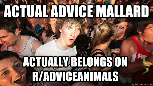 actual advice mallard actually belongs on radviceanimals - Sudden Clarity Clarence