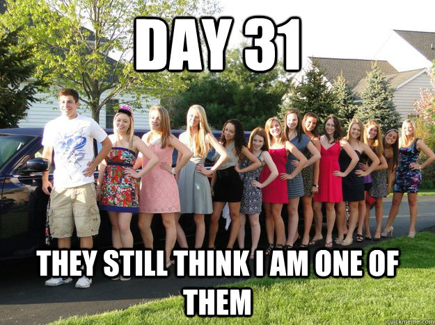 Day 31