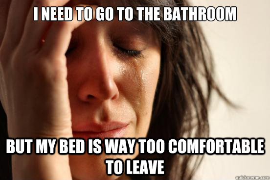 i need to go to the bathroom but my bed is way too comfortab - First World Problems