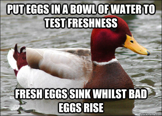 put eggs in a bowl of water to test freshness fresh eggs sin - Malicious Advice Mallard