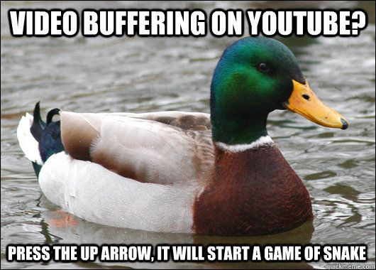 video buffering on youtube press the up arrow it will star - Actual Advice Mallard