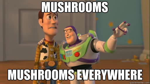 After a week of rainy weather in LA.