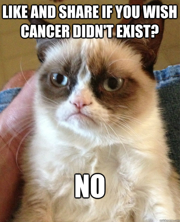 like and share if you wish cancer didnt exist no - Grumpy Cat