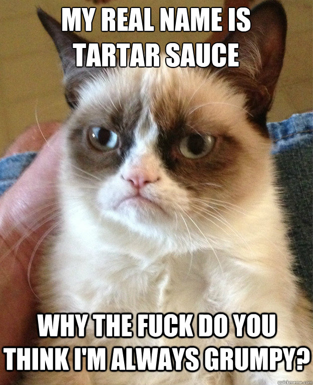 my real name is tartar sauce why the fuck do you think im a - Grumpy Cat