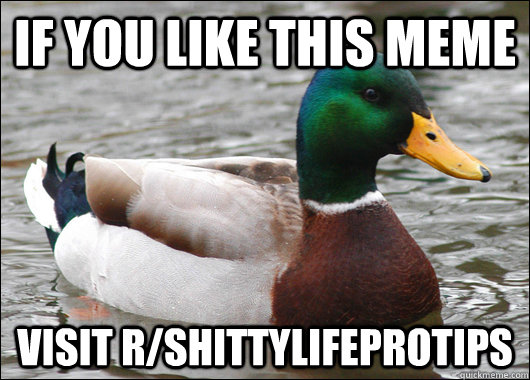 if you like this meme visit rshittylifeprotips - Actual Advice Mallard