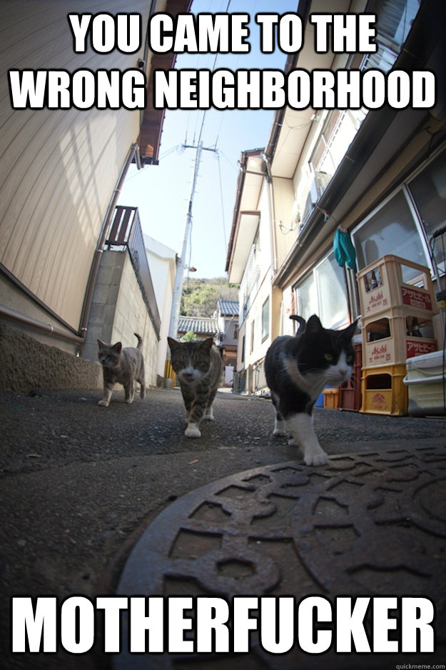 you came to the wrong neighborhood motherfucker -