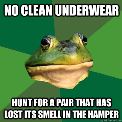no clean underwear hunt for a pair that has lost its smell i - Foul Bachelor Frog