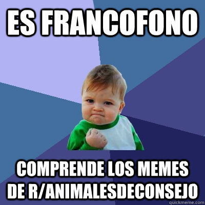 es francofono comprende los memes de ranimalesdeconsejo - Success Kid
