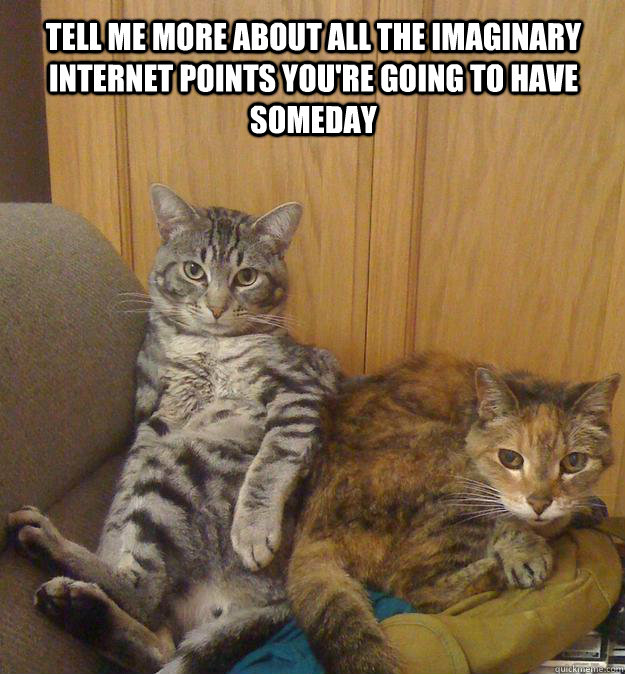 tell me more about all the imaginary internet points youre - Pretends to care kitteh