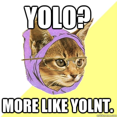 yolo more like yolnt - Hipster Kitty