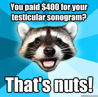 you paid 400 for your testicular sonogram thats nuts - Lame Pun Coon