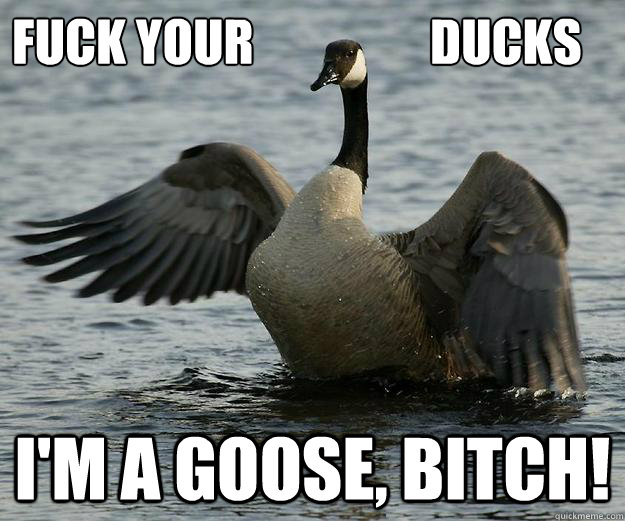 fuck your ducks im a goose bitch - toomanyducks