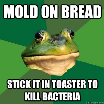 mold on bread stick it in toaster to kill bacteria - Foul Bachelor Frog
