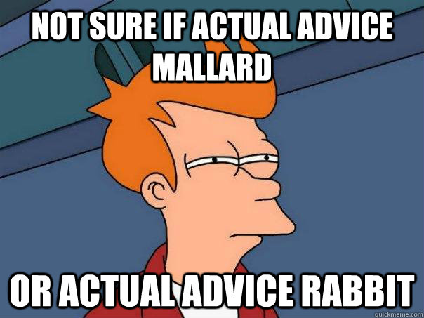 not sure if actual advice mallard or actual advice rabbit - Futurama Fry