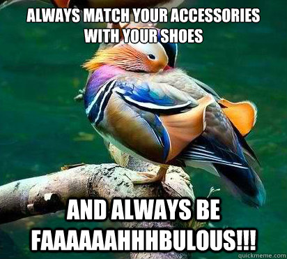 always match your accessories with your shoes and always be - Fashion Advice Mandarin Duck